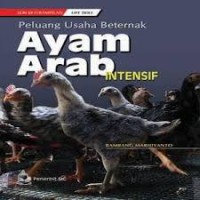 Image of Peluang Usaha Beternak Ayam Arab Intensif